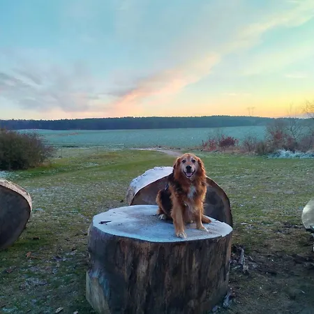 Idyll Am Kamp Korswandt